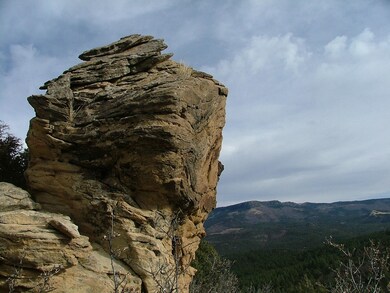 33785 Hiddenwood Ln unit C52, Trinidad, CO - photo 2