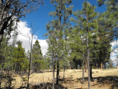 5 Lot 102 Juniper