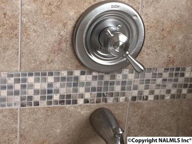 DECORATIVE TILE AROUND THE TUB - SEPARATE TILED SHOWER WILL BE IN THIS HOME.   HOME IS UNDER CONSTRUCTION.