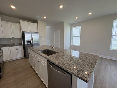 IMG 0198