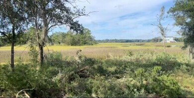 Marsh View Photo (1)