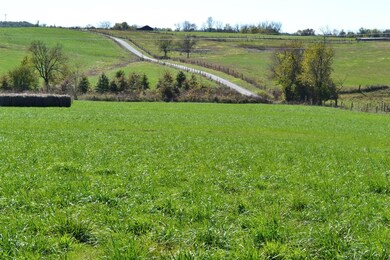 679 Cole Ln, Harrodsburg, KY 40330 - photo 7