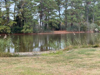 201 Hibiscus Dr, Other, VA 23336 - photo 3