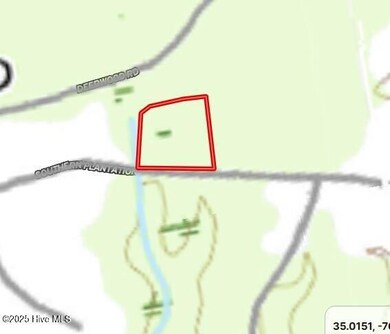 636 Southern Plantation Dr S, Oriental, NC 28571 - photo 6