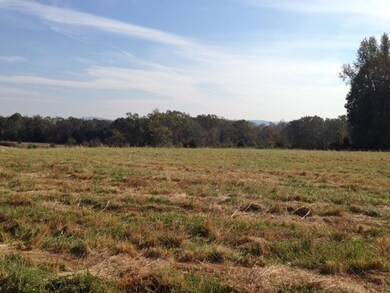 3770 Pollard Rd, Walling, TN 38587 - photo 5