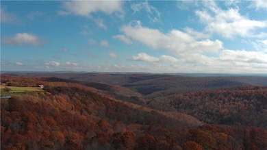 TBD Nc 9311, Kingston, AR 72742 - photo 3