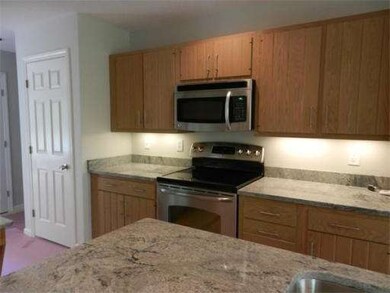 241 Bishops Forest Dr, Waltham, MA 02452 - photo 6