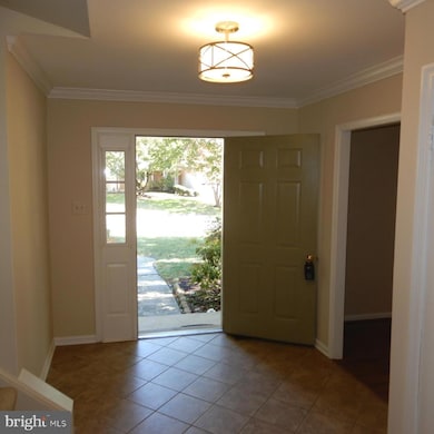 7014 Maple Tree Ln, Springfield, VA 22152 - photo 3