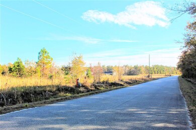 000 Samuel Rd unit 3769 E Highway 9 Bus, Loris, SC 29569 - photo 2
