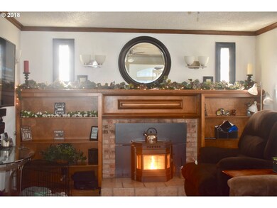 Fireplace Pellet Stove