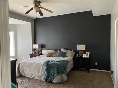 Large Master bedroom featuring accent wall and plush carpet.