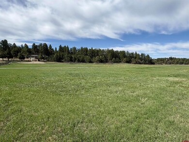 39266 Colorado 184, Mancos, CO 81328 - photo 2