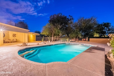 Twilight Backyard