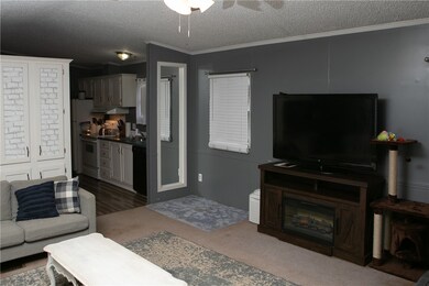 203 Rock Crusher Rd, Walhalla, SC 29691 - photo 7