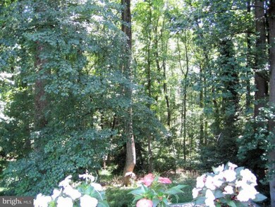 12607 Pentenville Rd, Silver Spring, MD 20904 - photo 2