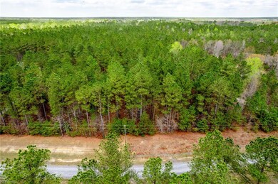 3+ac Spring Farm Rd, Dendron, VA 23839 - photo 2