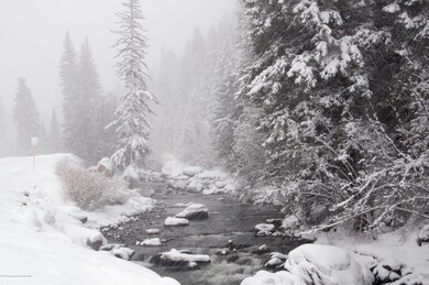 Frying Pan Winter