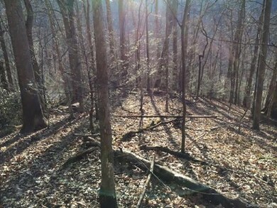 closer view of flat wooded knoll