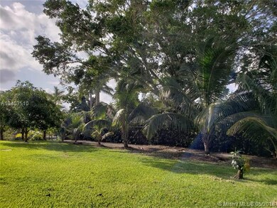 Yard with coconut palms, mango, avocado, lemon, so