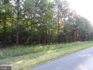 0 Hardscrabble Rd unit DESU2004450, Georgetown, DE 19947 - photo 5