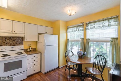 954 Joshua Tree Ct, Owings Mills, MD 21117 - photo 5