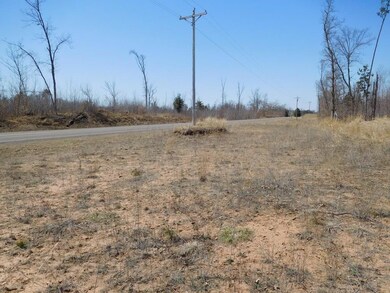 xxx County Road C, Jackson Township, WI 54893 - photo 4