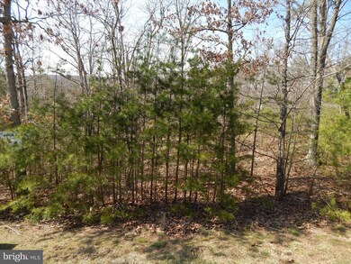 4 Cielo Ln, Berkeley Springs, WV 25411 - photo 4