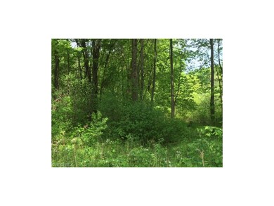 Come and enjoy the beautiful woods