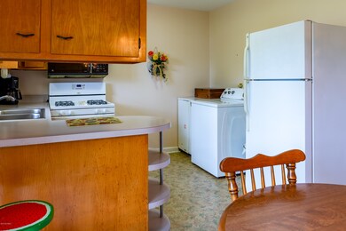 (12 of 25) 325 Bayshore Dr-19099083148