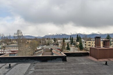 View from Roof