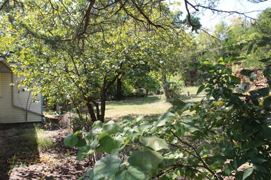 26 Edgemont Dr, Kimberling City, MO 65686 - photo 6