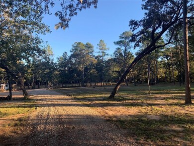 24102 Pinewood Valley Dr, Hockley, TX 77447 - photo 2