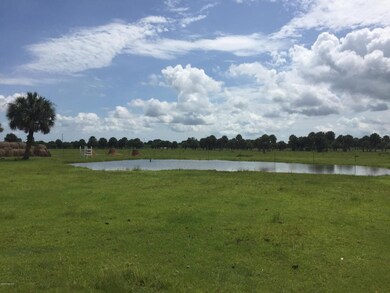pond
