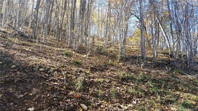 0 Wolf Laurel Heights unit Lot 12 3451434, Burnsville, NC 28714 - photo 7