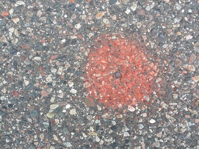 SE 1/4 in road