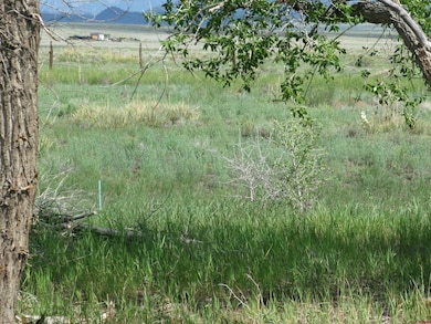 TBD Vacant Land St, Villa Grove, CO 81155 - photo 5