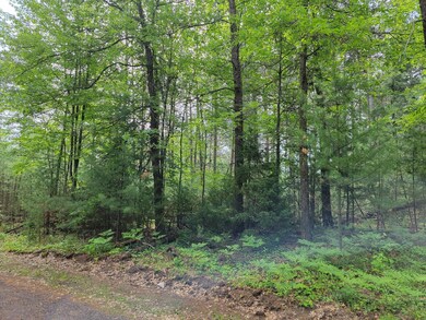 ON Charlene Ave, Tomahawk, WI 54487 - photo 3