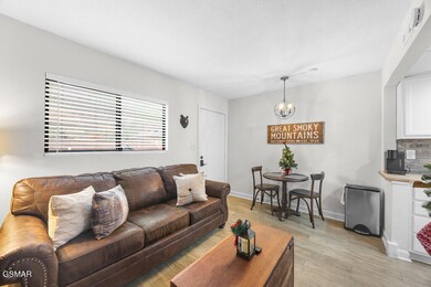 685 River Rd unit 303, Gatlinburg, TN 37738 - photo 4