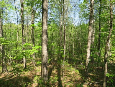 Lot 12 Ledbetter Ln, Walhalla, SC 29691 - photo 3