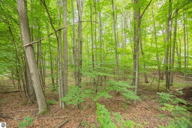 00 Hansel Strause Rd E, Custer Township, MI 49615 - photo 4