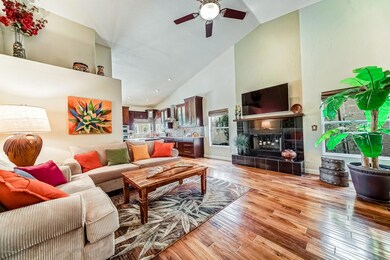 Family Room/Fireplace