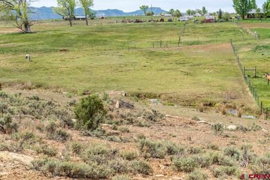 12888 Road 22, Cortez, CO 81321 - photo 2