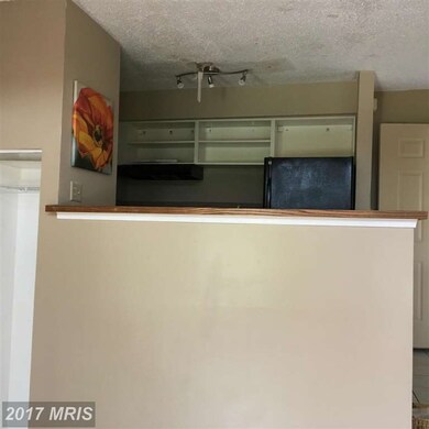 1609 Carriage House Terrace unit DD, Silver Spring, MD 20904 - photo 4