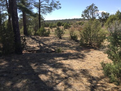 0 Linden unit 219720, Show Low, AZ 85901 - photo 2