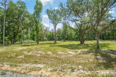 50320 (Lot 2) Allen Dr, Loranger, LA 70446 - photo 2