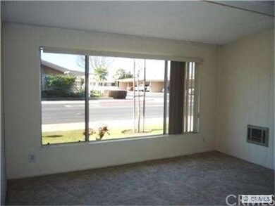 Living room Picture Window view