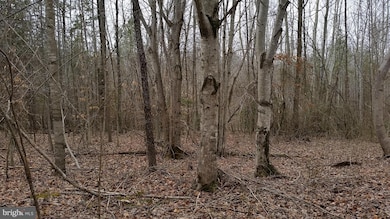 0 Vawter Corner Rd unit 1000545311, Louisa, VA 23093 - photo 5