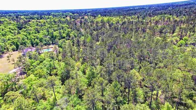 0 Bostic Pelt Rd unit 292682, Crawfordville, FL 32327 - photo 4