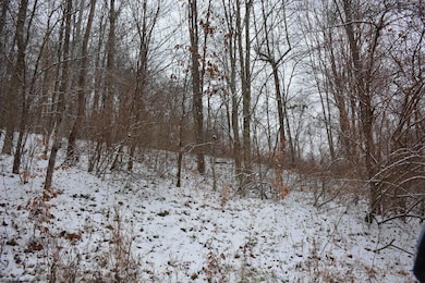 To Be Determine Sand Fork Rd, Roanoke, WV 26447 - photo 4