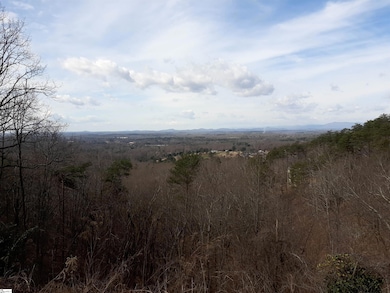 0 Laurel Ridge Rd unit 1536082, Greenville, SC 29609 - photo 3